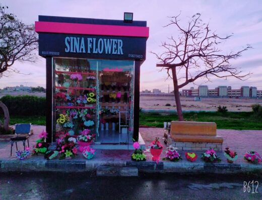 SINA Flower