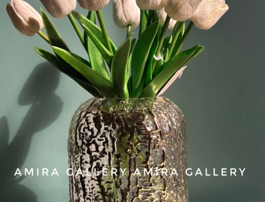 Amira gallery