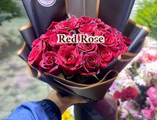 زهور ريد روز