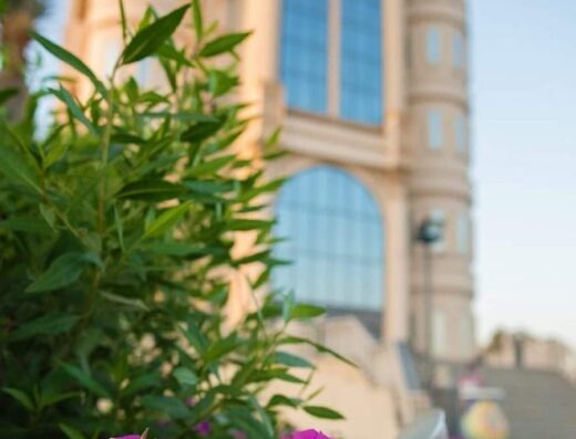 قاعة وادي النخيل