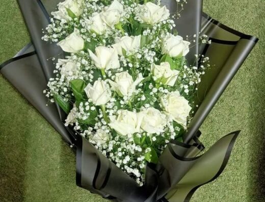 زهور النورس 