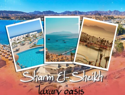 الملتزم للسياحة