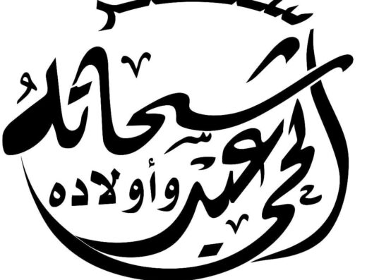 سنتر أولاد عبدالحي 