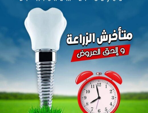 Dr Hisham El Sayed