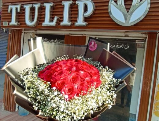 Tulip Group