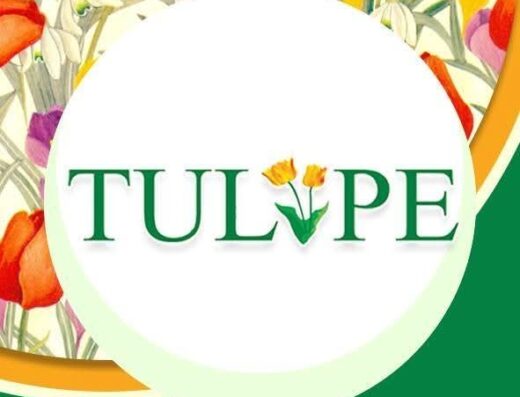 TULIPE HOME