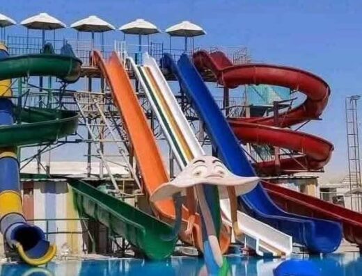  طيور الجنة للسياحة