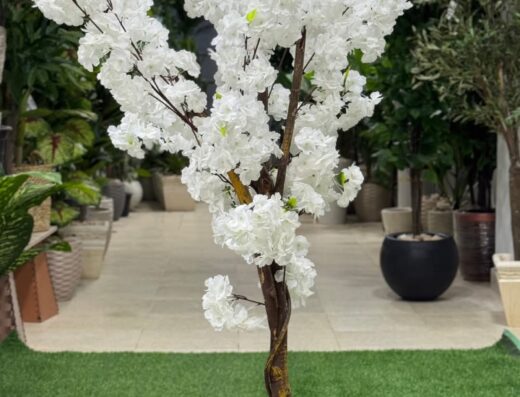 فريدة flowers