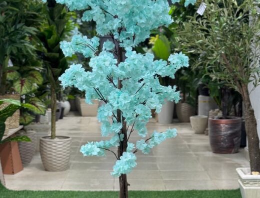 فريدة flowers