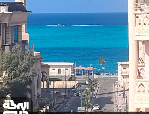 البركه المصرية للسياحة