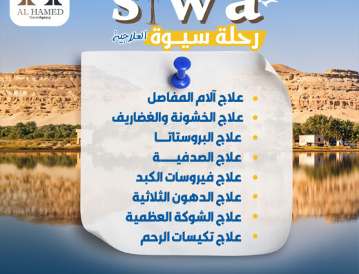 آل حامد للسياحة