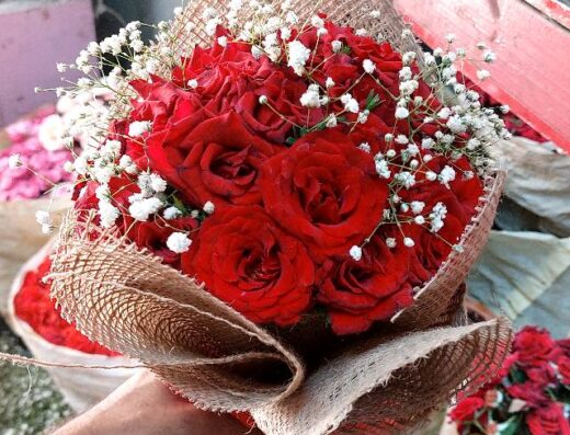 زهور المدينة