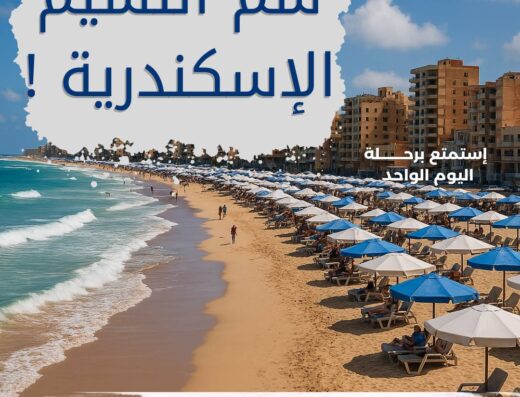 سايتس ترافيل