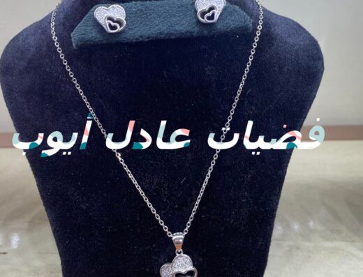 فضيات عادل أيوب