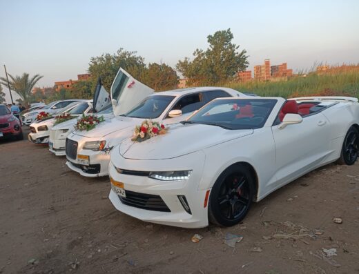 مشاوير وزفاف طنطا