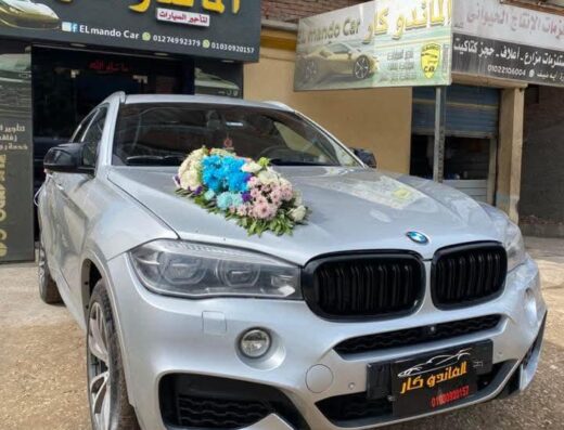 الماندو كار