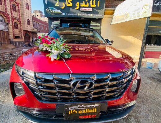 الماندو كار