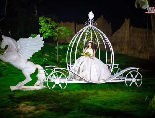 ايمن الحسينى