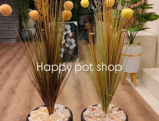 happy pot shop
