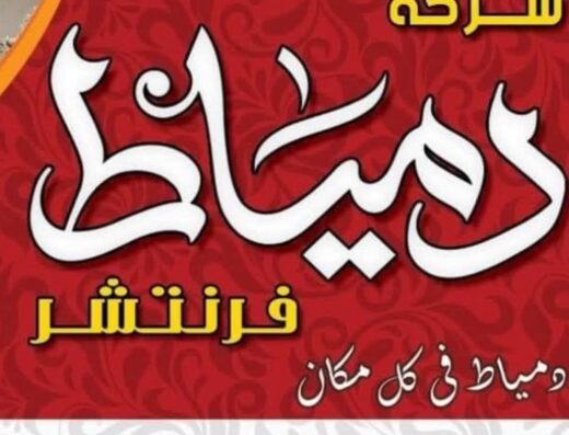 شركة دمياط فرنتشر 